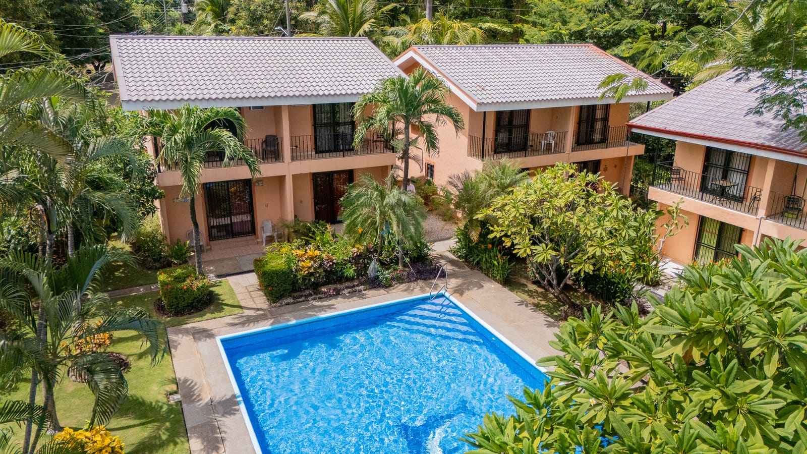 Begonias 3 — 150m from the Beach
