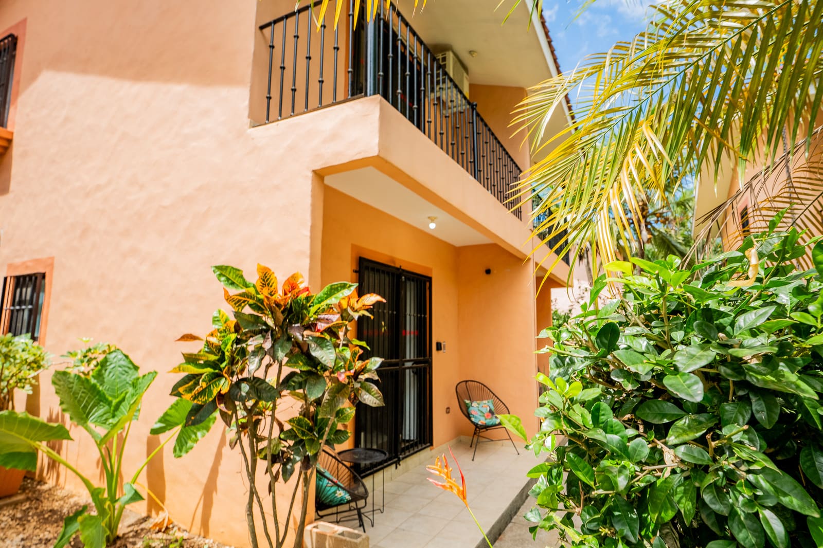 Begonias 3 — 150m from the Beach