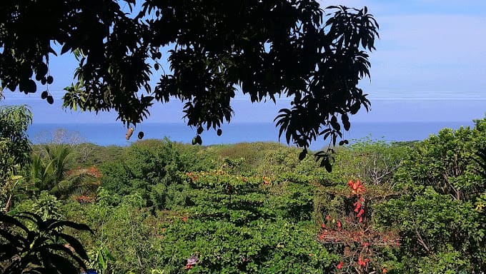 Oceanview Home & Guest Apartment, 350m to the Beach